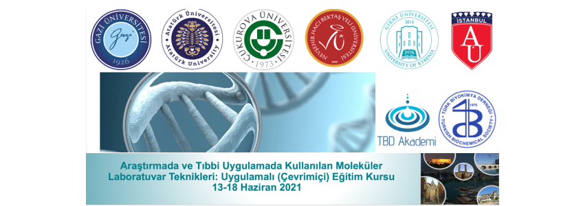 Araştırmada Ve Tıbbi Uygulamada Kullanılan Moleküler Laboratuvar Teknikleri: Uygulamalı Eğitim Kursu-2
